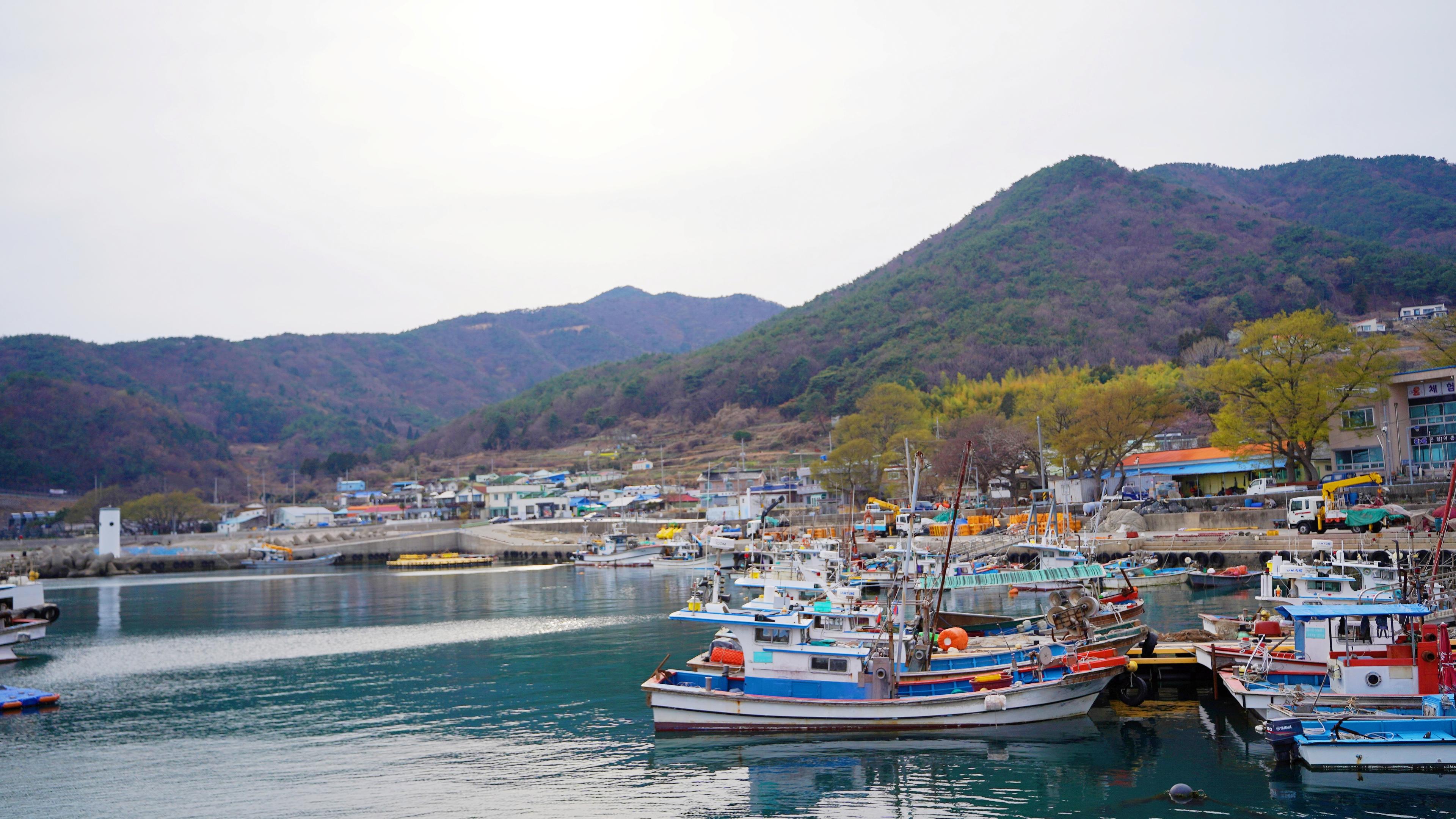 삼동의 삶 1_삼동에서 보내는 미식 일상