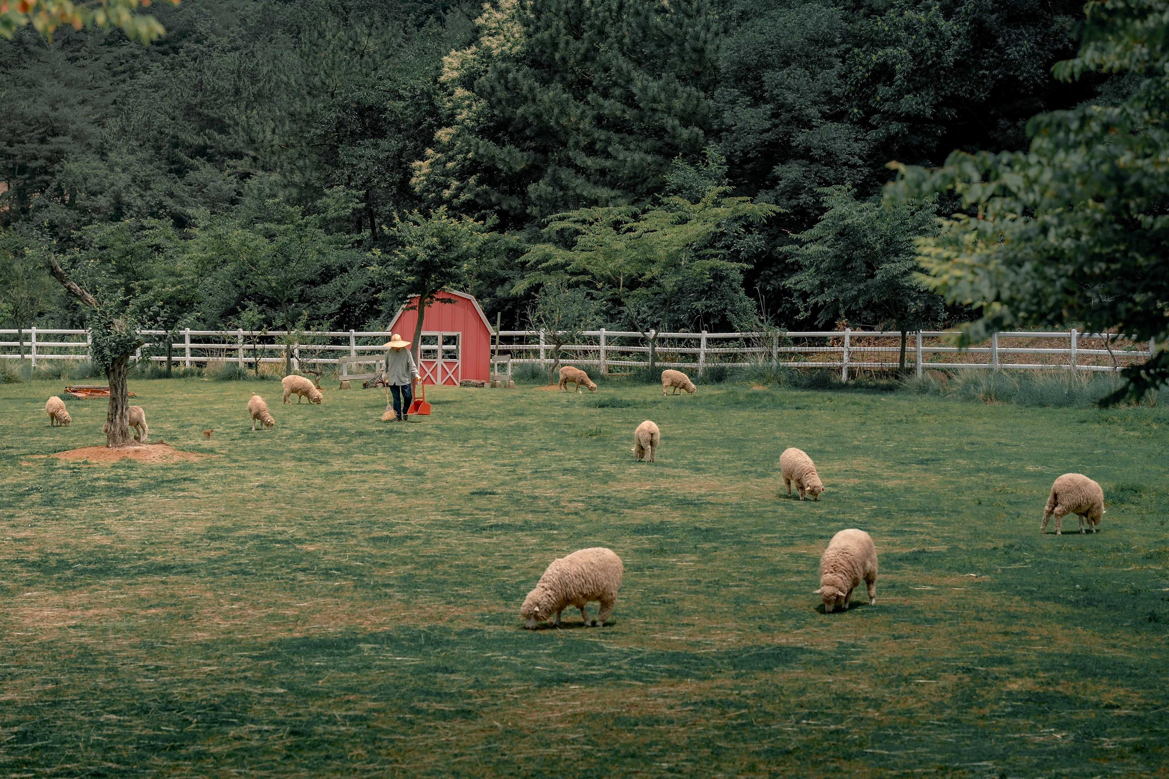 삼동의 삶 8_ 남해 삼동면의 출사지 코스