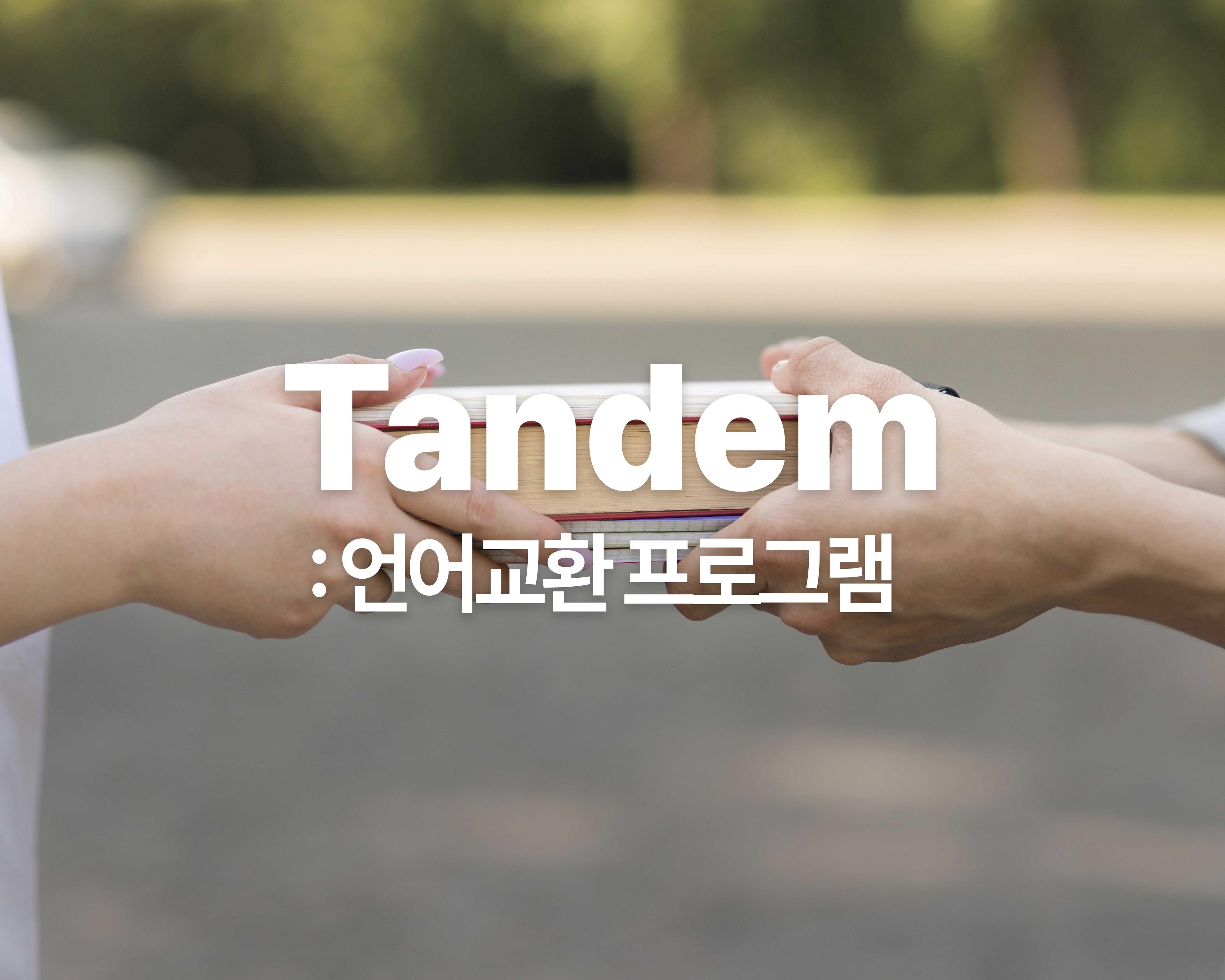 삼동에게 6_언어를 배우는 가장 따뜻한 방법, 탄뎀(Tandem)