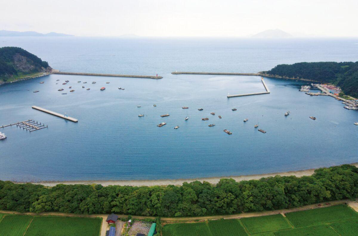 물건방조어부림 이미지